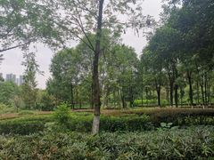 -重庆彩云湖湿地公园