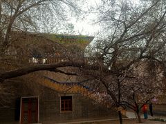 -库车王府