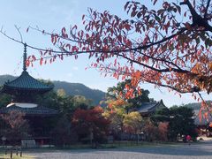 -清凉寺