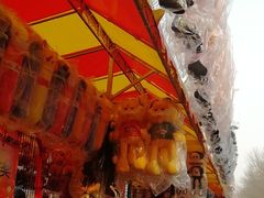 -朝阳公园游乐园