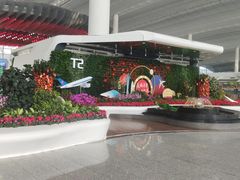 -广州白云国际机场-T2航站楼