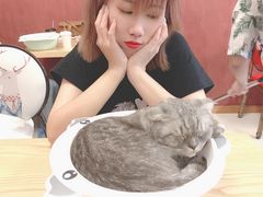 -猫咪咖啡店(新城大街店)