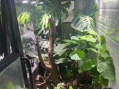 -橡皮书店(翠湖北路店)