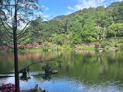-深圳仙湖植物园