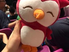 -广州长隆国际大马戏