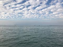 -鑫艋游艇海钓俱乐部