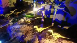 -恐龙探索乐园(磁器口店)