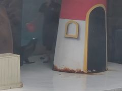 -锦艺城海洋馆