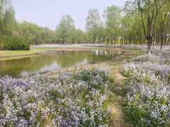 -东郊湿地公园