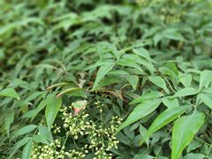 -比斯特上海购物村精品奥特莱斯