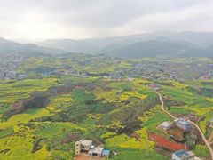 -牛街螺丝田