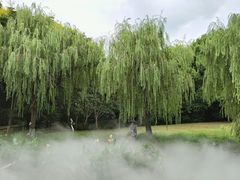 -苏州河梦清园环保主题公园