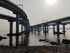 -星海湾跨海大桥