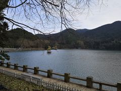 -庐山风景区花径公园