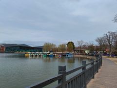 -上海长兴岛郊野公园