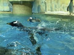 -威海华夏城景区