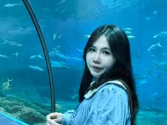 -福州罗源湾海洋世界旅游区