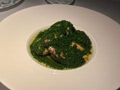 -桂满陇·海市蜃楼·黑金(国金店)