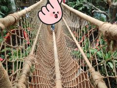 -正佳雨林生态植物园