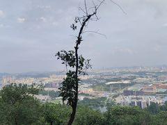 -火炉山森林公园