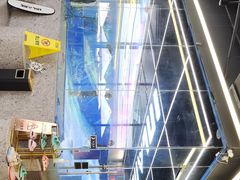 -INLANG饮浪室内冲浪(苏河湾万象天地店)