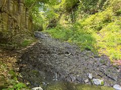 -黄椅山火山森林公园