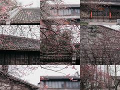 -乌镇景区