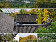 -苏州上方山国家森林公园