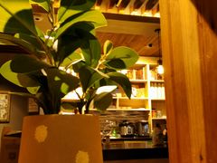 -梵猫·新养生(福州万象城店)