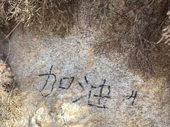 -大芦花风景区