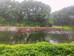 -广州长隆飞鸟乐园