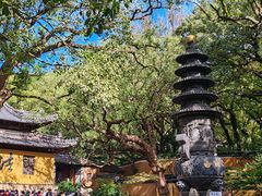 -普陀山风景名胜区-法雨禅寺