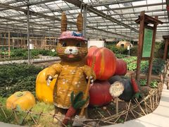 -龙达温泉生态城