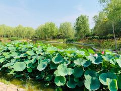 -燕郊植物园