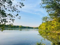-东湖落雁景区