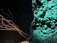 -深圳珠宝博物馆