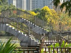 -五缘湾湿地公园