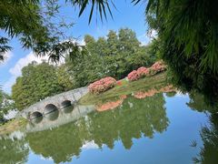 -中国科学院华南植物园