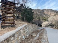 -北京西山国家森林公园