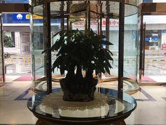 -谷兹·怡家城市(绵阳铁牛广场店)
