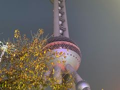 -东方明珠广播电视塔