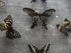 -烟台自然博物馆