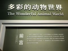 -国家自然博物馆