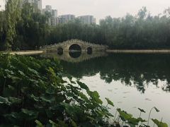-莲湖公园