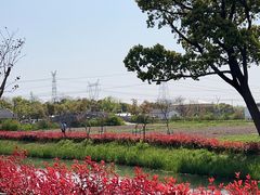 -嘉北郊野公园