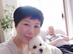 -达爱动物医院·犬猫分区·CT·复杂眼科(远洋山水分院)