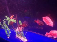 -青岛海底世界-水族馆