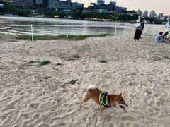 -欢乐海岸椰林沙滩-2025湾区超级灯会