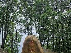 -广州市帽峰山景区