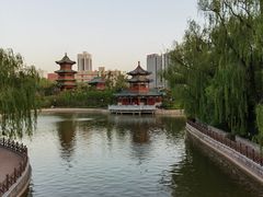 -迎泽公园
